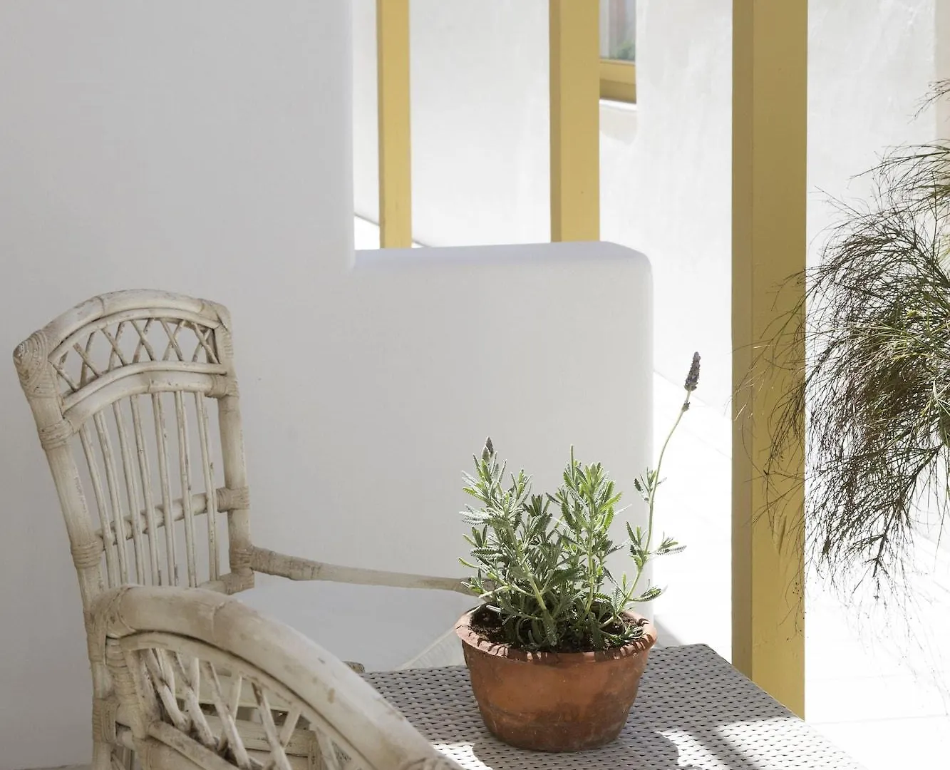 Ξενοδοχείο Δεσποτικό Mykonos Town